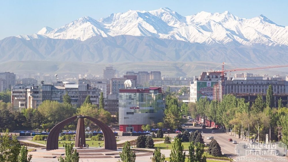 Панорама Бишкека (столица Киргизстана)