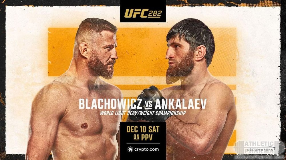 Постер турнира UFC 282: Блахович против Анкалаева